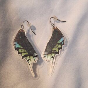 Artisan Made Real Butterfly Wing Laminated Light Weight Earrings